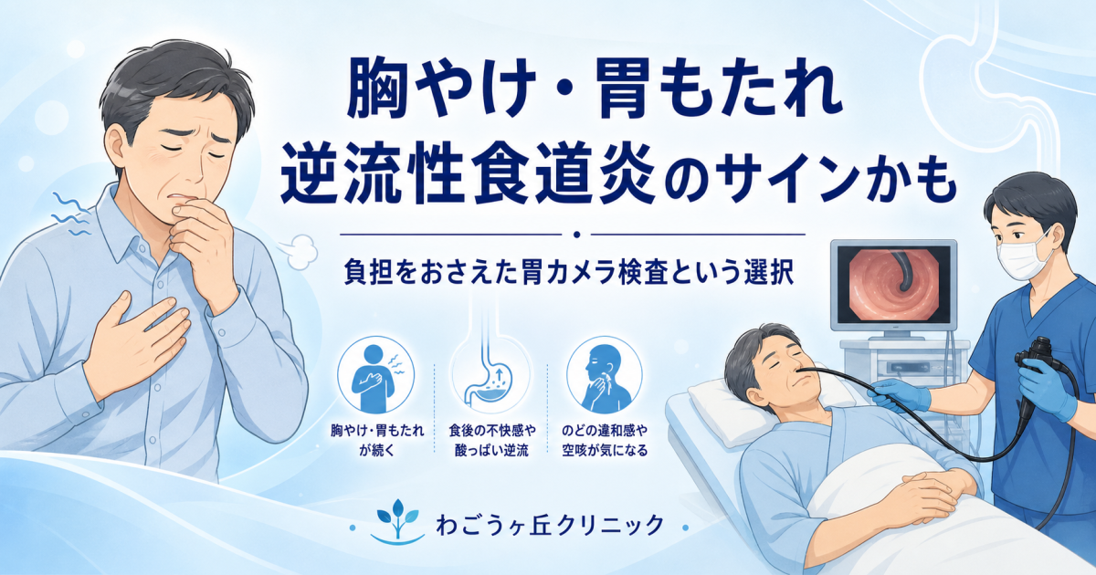 胸やけ胃もたれは逆流性食道炎？怖い胃カメラを楽に受ける方法